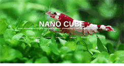 Desktop Screenshot of nano-cube.org